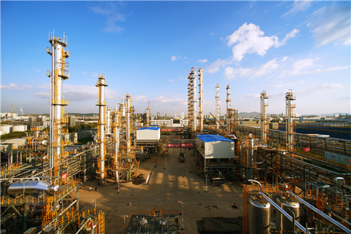 康乃尔烯烃项目现场 02.jpg