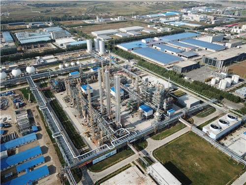 康乃尔烯烃项目全景.jpg